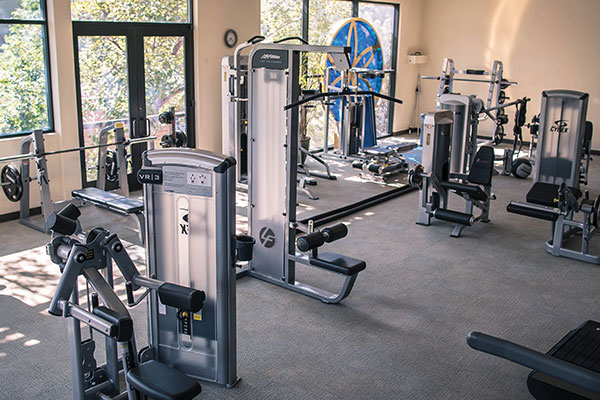gym 2